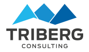 Herzlich Willkommen | TRIBERG Consulting Logo